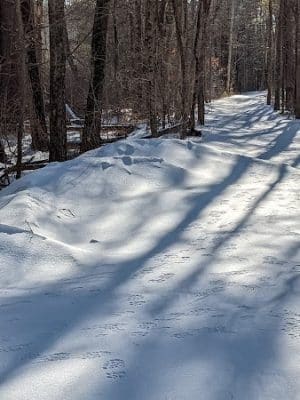 Groton Town Forest