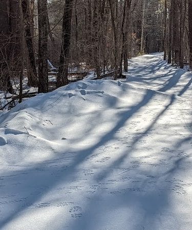 Groton Town Forest