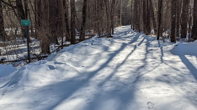 Groton Town Forest - Groton, MA