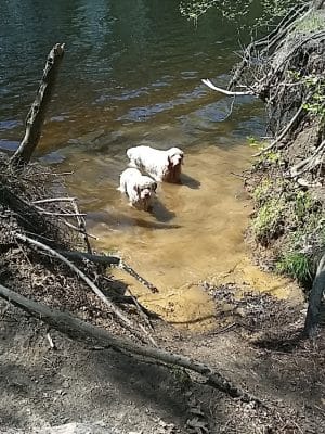 Groton Town Forest