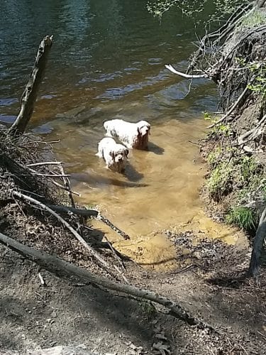 Groton Town Forest