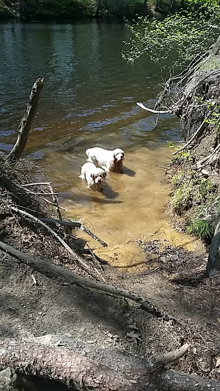Groton Town Forest - Groton, MA