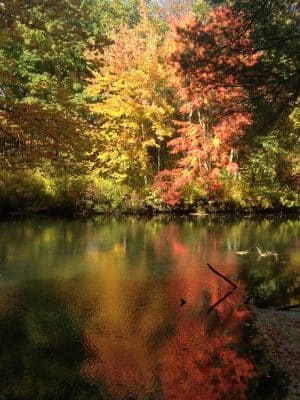 Groton Town Forest