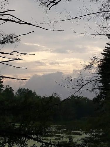 John Tinker Accessible Trail