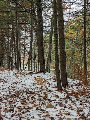John Tinker Accessible Trail