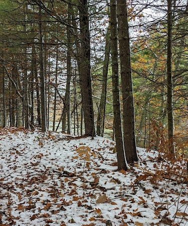 John Tinker Accessible Trail