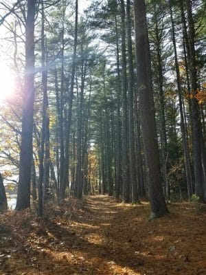 John Tinker Accessible Trail