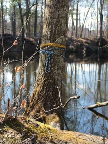 Sabine Place Trail