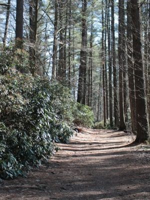 Sabine Place Trail