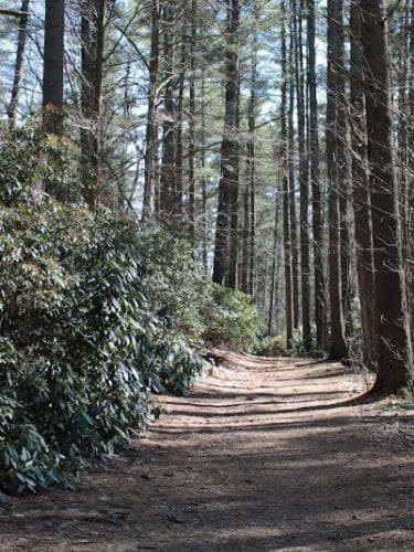 Sabine Place Trail