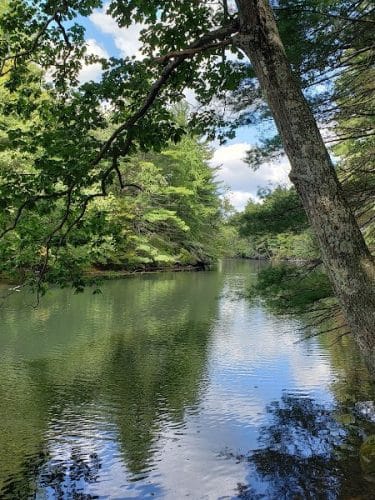 Sabine Place Trail