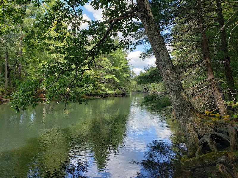 Sabine Place Trail - Groton, MA