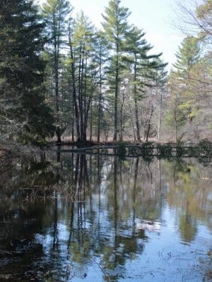 Sabine Place Trail