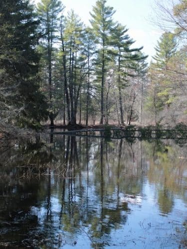 Sabine Place Trail