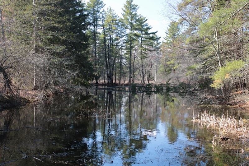 Sabine Place Trail - Groton, MA