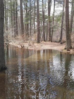 The Groton Hunt