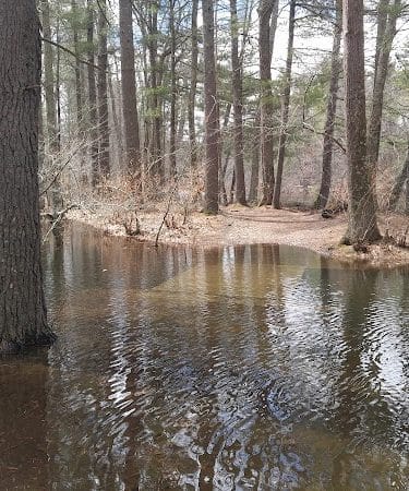 The Groton Hunt