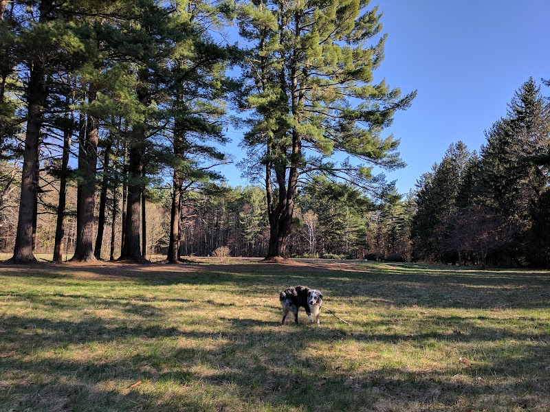 The Groton Hunt - Groton, MA