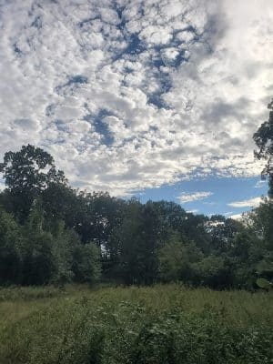 The Throne hiking trail, Rockwood Lane parking
