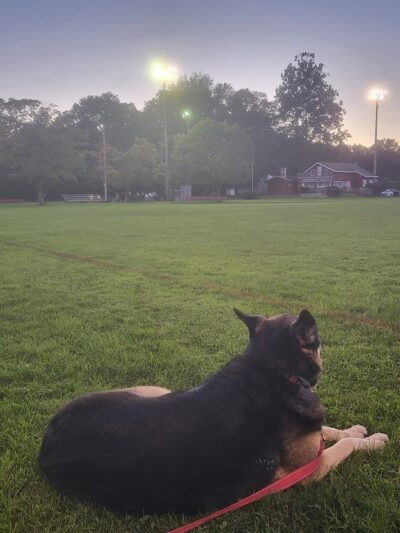 Nott Road Park - Guilderland, NY