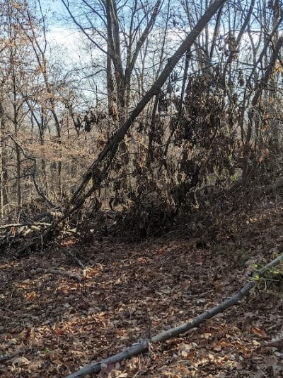 Florence Kuipers Park - Grand Avenue Parking Area - Hackettstown, NJ