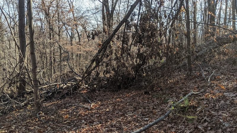 Florence Kuipers Park - Grand Avenue Parking Area - Hackettstown, NJ