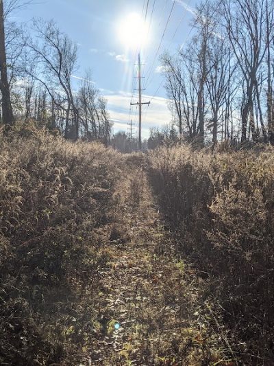 Florence Kuipers Park - Grand Avenue Parking Area - Hackettstown, NJ
