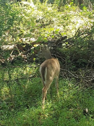 Hackettstown Riverfront Park - Hackettstown, NJ