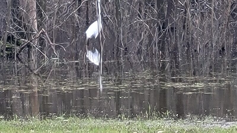 Haddam Meadows State Park - Haddam, CT