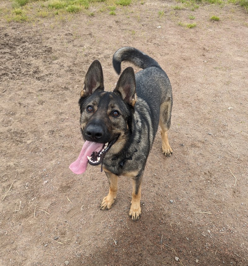 Hamburg Dog Park - Hamburg, NY