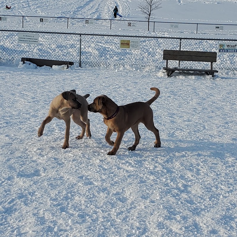 Hamburg Dog Park - Hamburg, NY