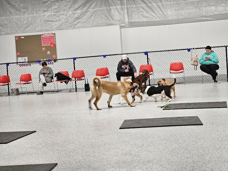 K9 Barks N Brews - Hamburg, NY