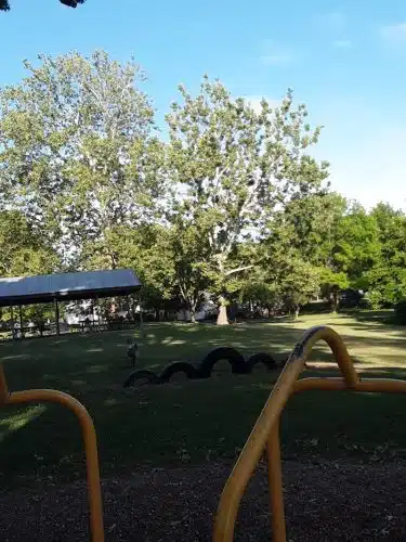 City Park - Hamilton, IL
