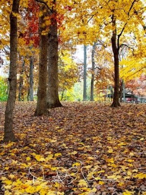 Hamilton Park District - Hamilton, IL
