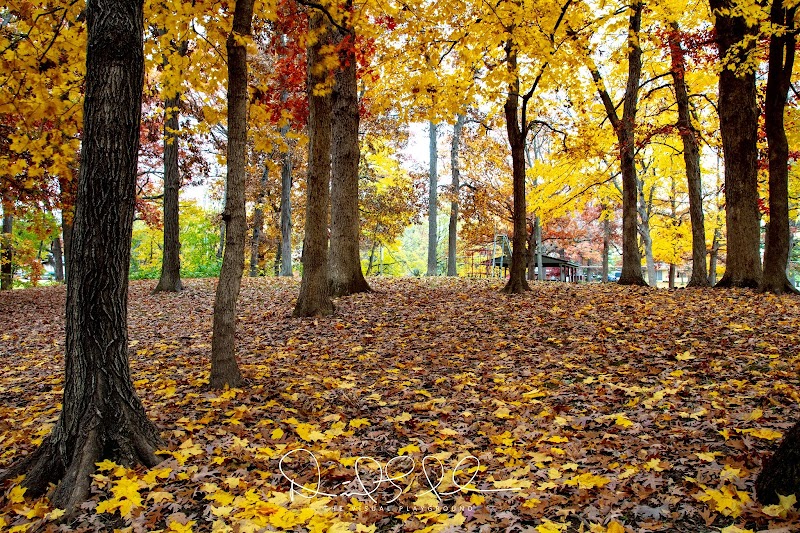 Hamilton Park District - Hamilton, IL