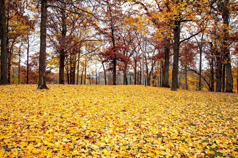 Hamilton Park District - Hamilton, IL