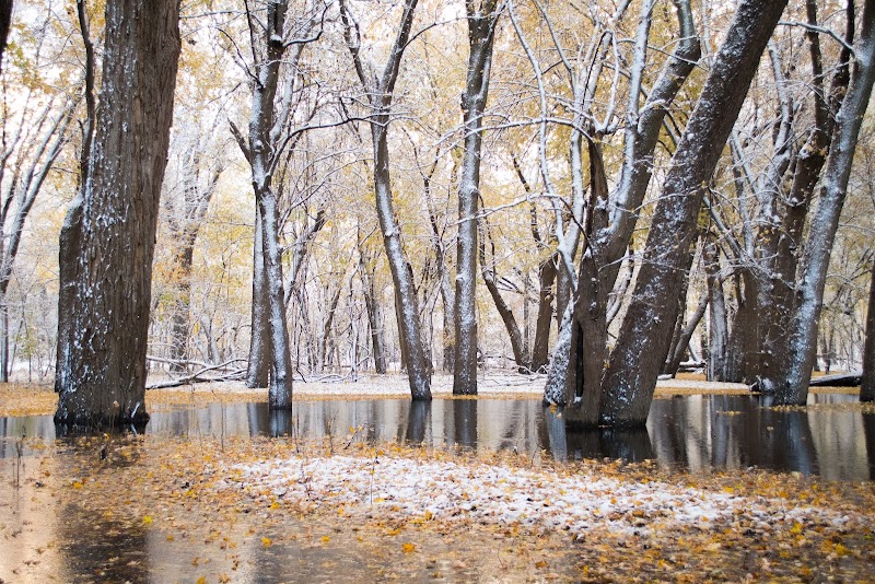 Montebello Nature Area - Hamilton, IL