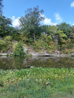 Wildcat Springs Park