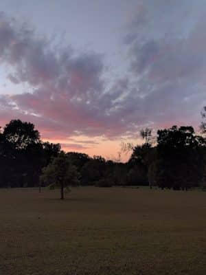 Wildcat Springs Park
