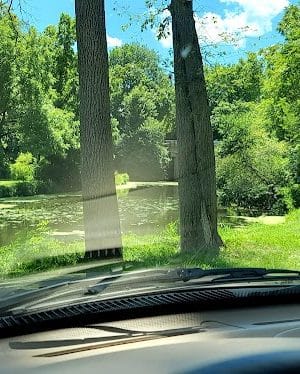 Wildcat Springs Park