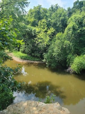Wildcat Springs Park