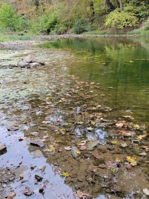 Wildcat Springs Park