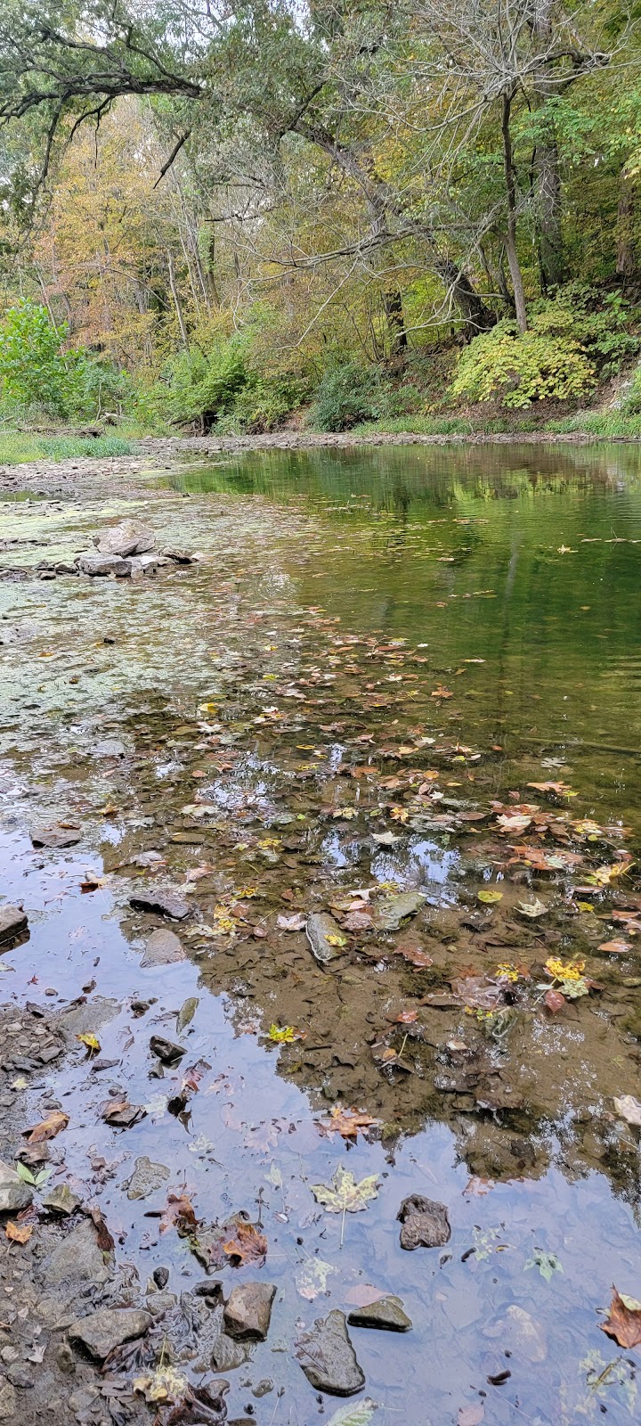 Wildcat Springs Park - Hamilton, IL