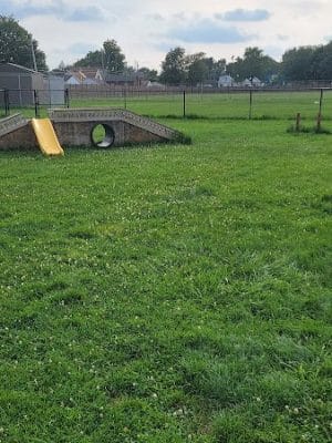 Irving Park Dog Park