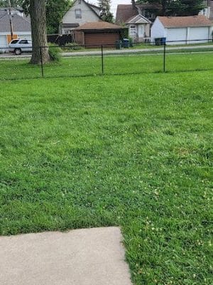 Irving Park Dog Park