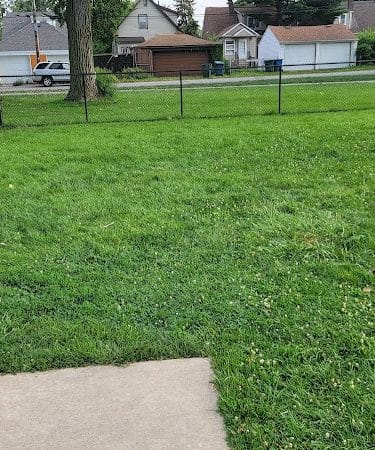 Irving Park Dog Park