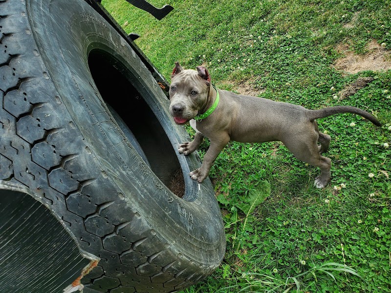 Riverside Dog Park - Hammond, IN