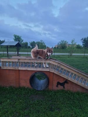 Riverside Dog Park