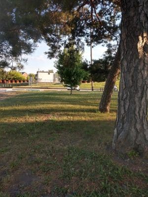 Riverside Dog Park