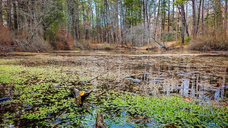 Blue Hole - Hammonton, NJ